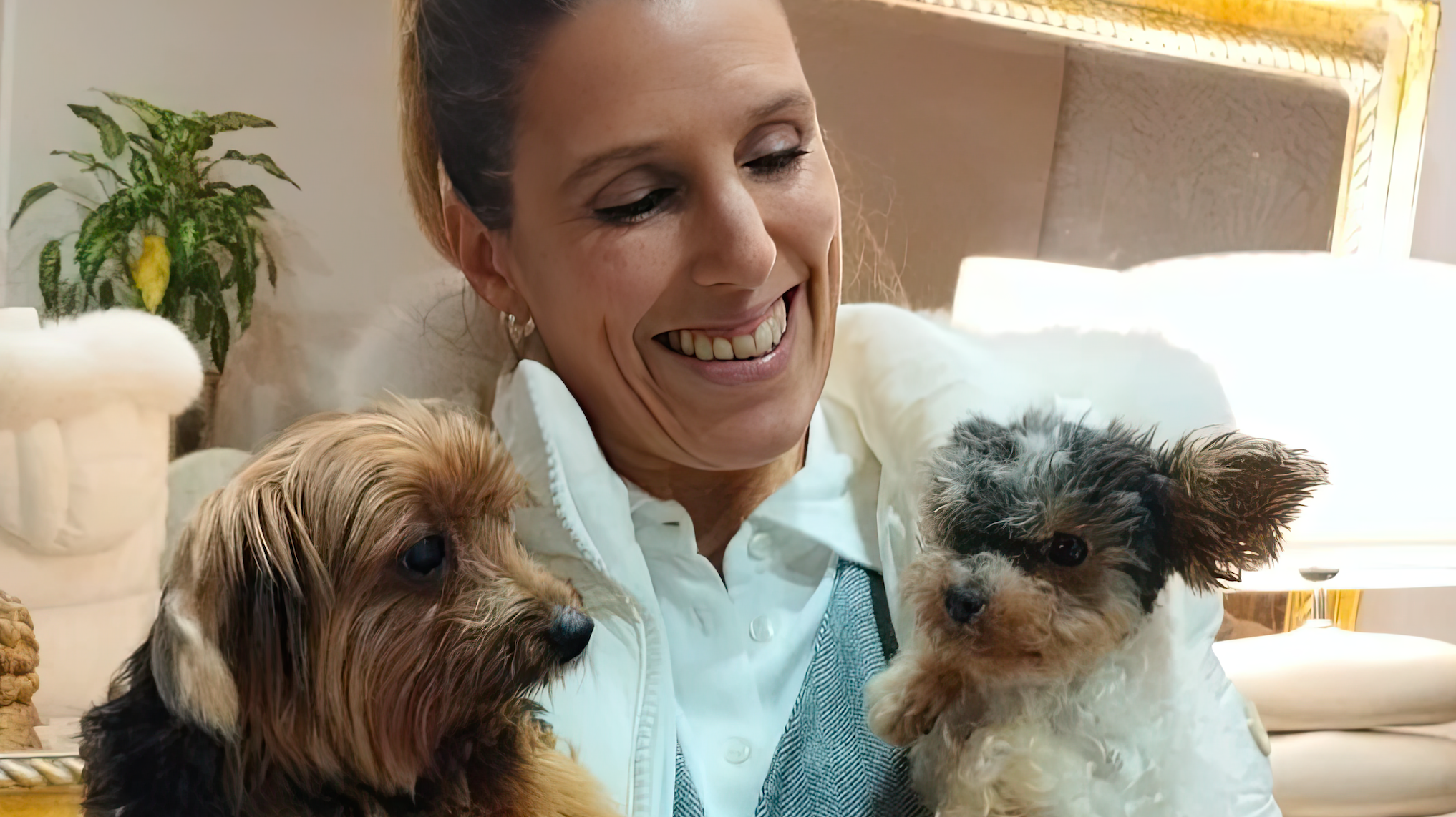 🌟 Encontro com o Destino: Prada, Mais que uma Yorkshire, um Símbolo de Esperança 🐾💕