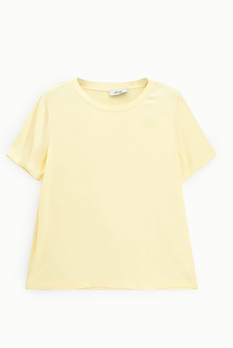 T-SHIRT DIXIE BASICA STRAIGHT - Carla Valente