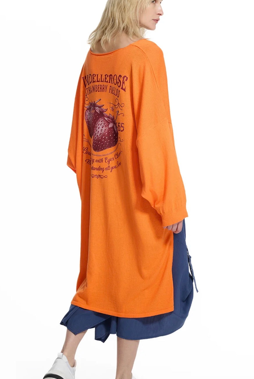 SWEATER VDR COM RABONA STRAWBERRY FIELDS 1765 - Carla Valente
