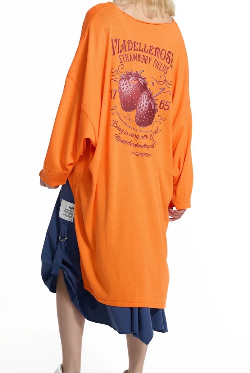 SWEATER VDR COM RABONA STRAWBERRY FIELDS 1765 - Carla Valente