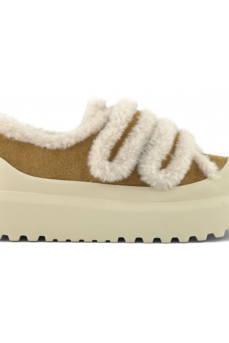 SNEAKERS COLORS OF CALIFORNIA INVERNO - Carla Valente