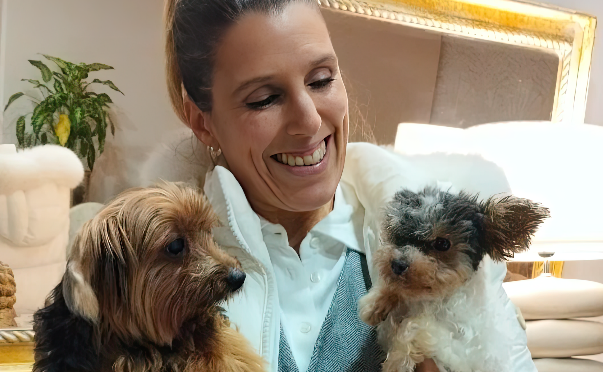 🌟 Encontro com o Destino: Prada, Mais que uma Yorkshire, um Símbolo de Esperança 🐾💕