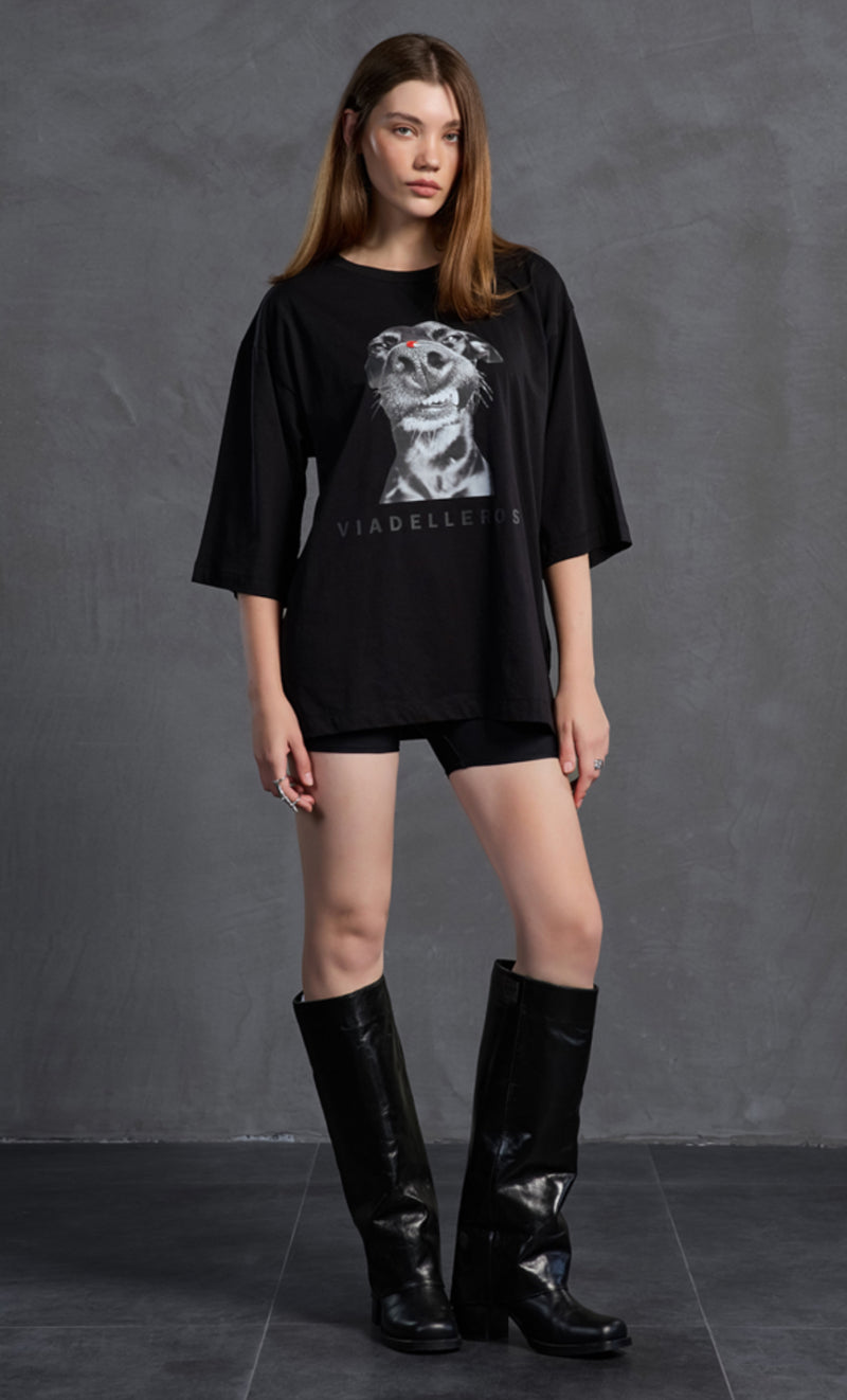 T-SHIRT VDR DOG E LADYBUG - Carla Valente