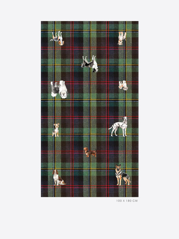 LENÇO VILAGALLO ESCOCÊS - Carla Valente