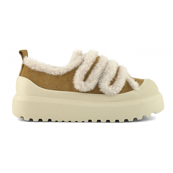 SNEAKERS COLORS OF CALIFORNIA INVERNO - Carla Valente