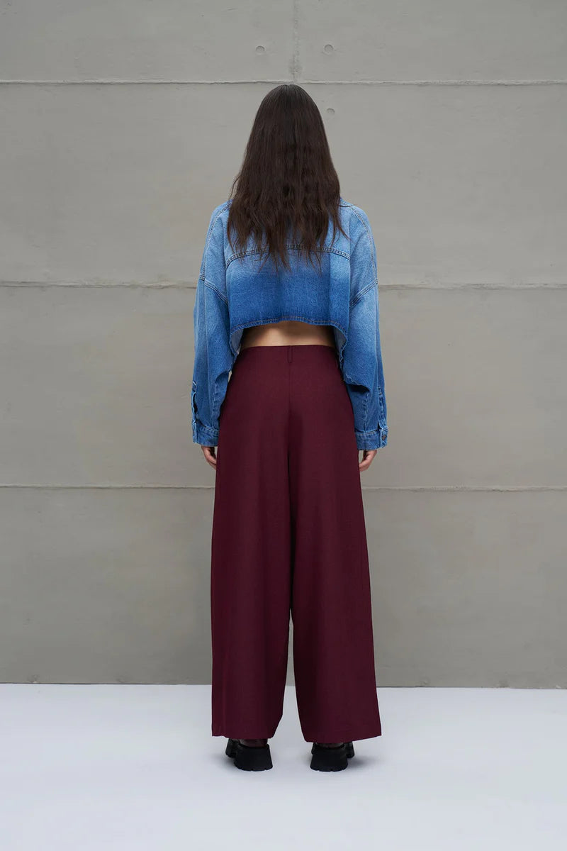 CALÇA VDR PLISSADA CINTURA ALTA - Carla Valente