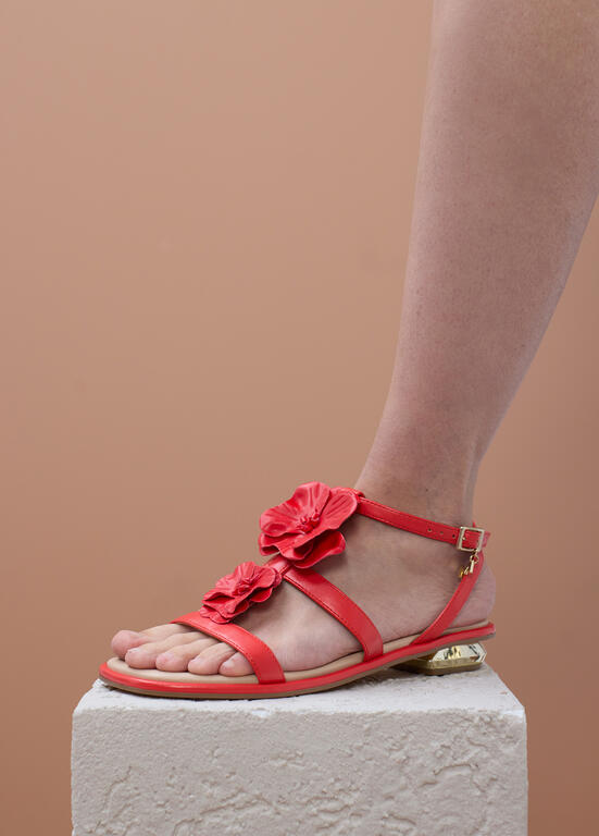 SAPATO MAITE CUNHA COM ADORNOS FLORAIS - Carla Valente