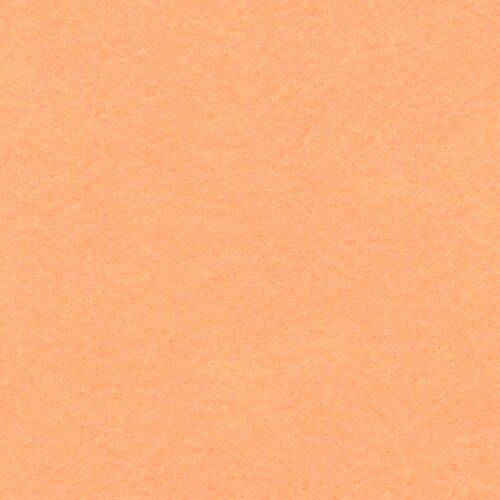 TOP VDR - Carla Valente